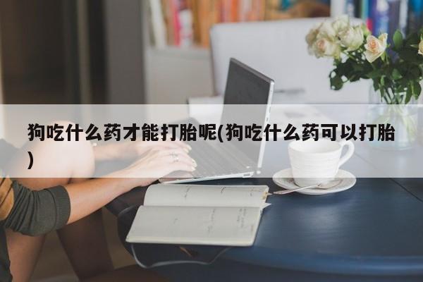 打胎药专卖微信联系方式亲测有效!狗吃什么药才能打胎呢(狗吃什么药可以打胎)