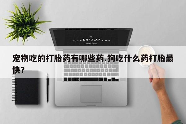 打胎药专卖微信联系方式亲测有效!宠物吃的打胎药有哪些药.狗吃什么药打胎最快？